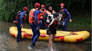 133 213543 saving 20 dogs sydney floods 2