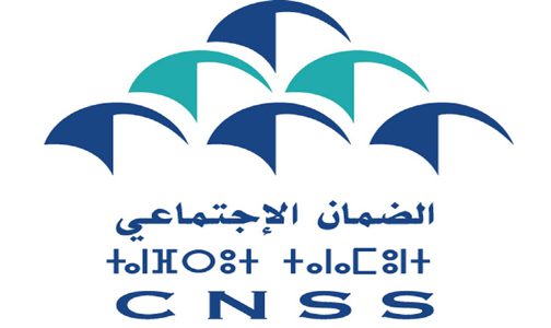 cnss.logo 504x300 3