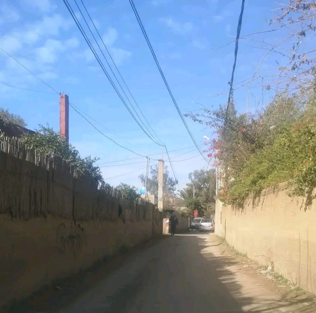 IMG-20250110-WA0113